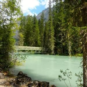 Meet your Posher, Phalon